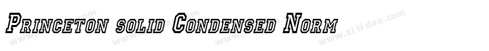 Princeton solid Condensed Normal字体转换